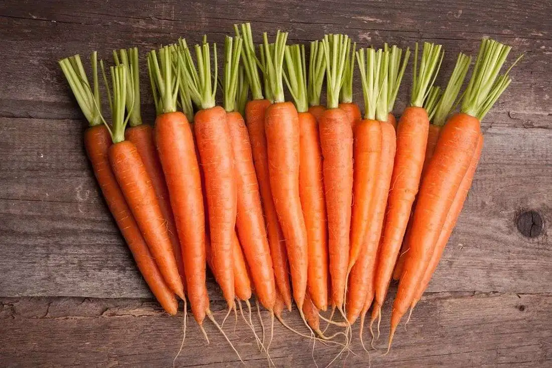 Фотография продукта Морковь оптом