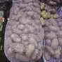 картофель белый, красный оптом в самаре. в Самаре и Самарской области